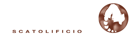 S.E.A.M. Srl